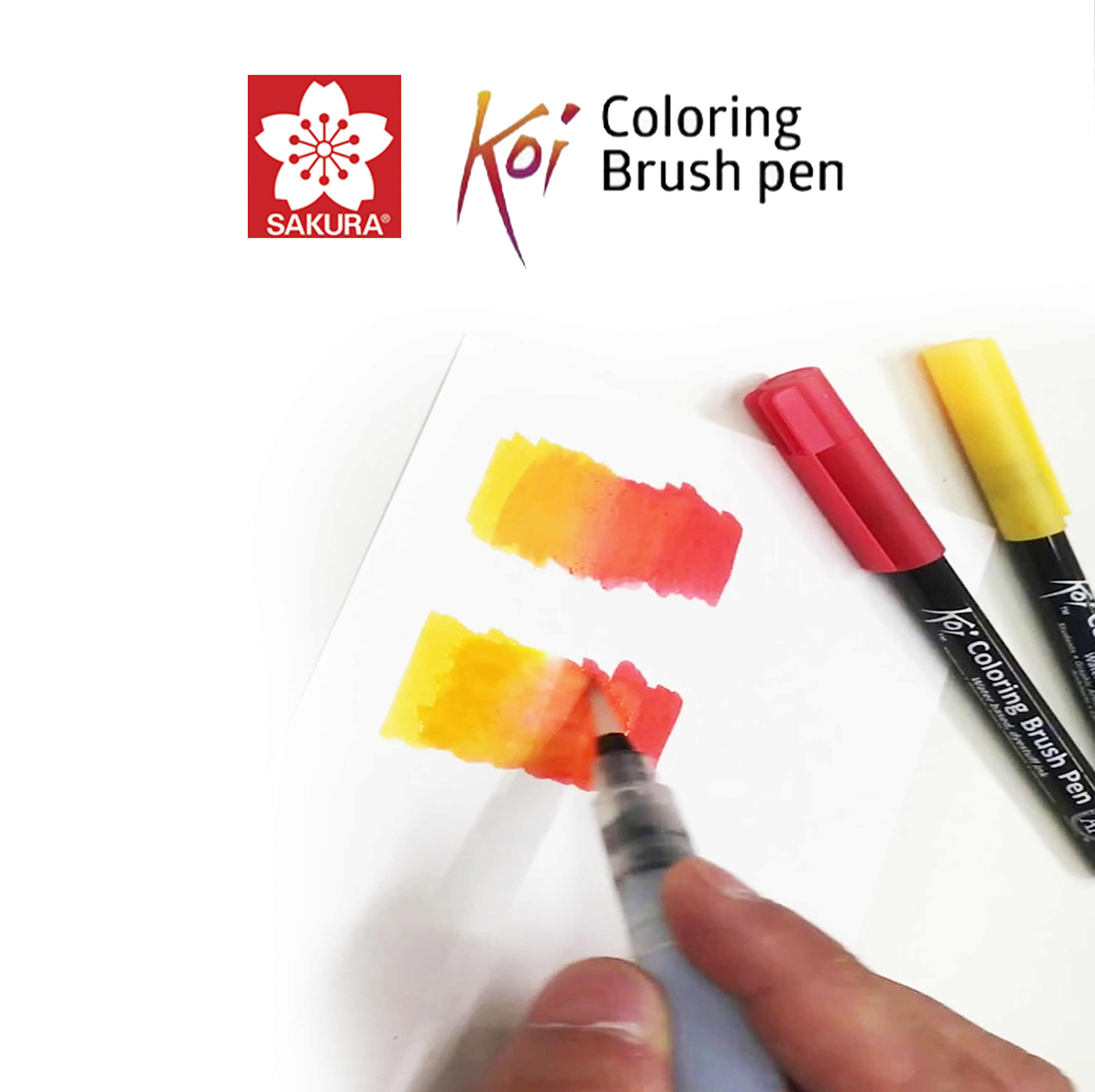 KOI PUNTA DE PINCEL ACUARELABLE - SET 12 UND SAKURA image 3